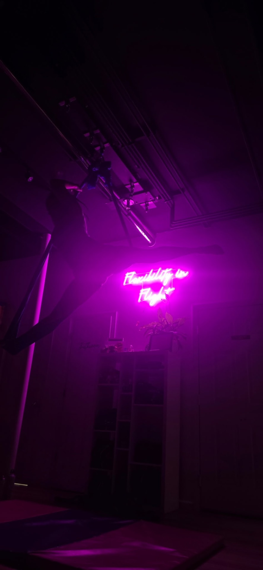 Flexibility in Flight neon sign glowing inside the studio